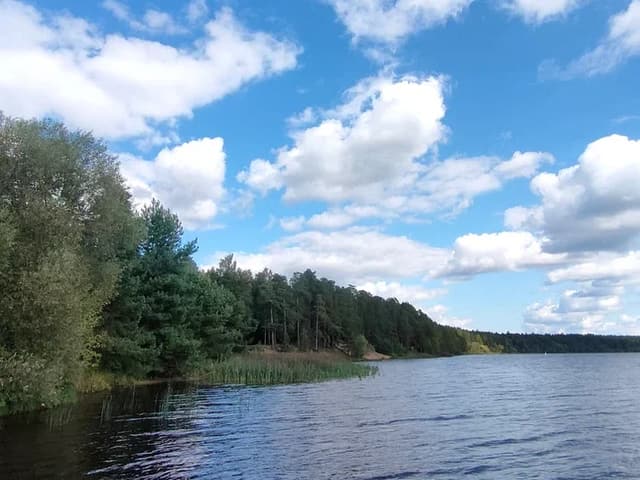 База отдыха «Иволга» — фото 2