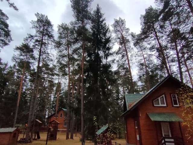 База отдыха «Иволга» — фото 10