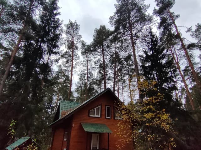 База отдыха «Иволга» — фото 11